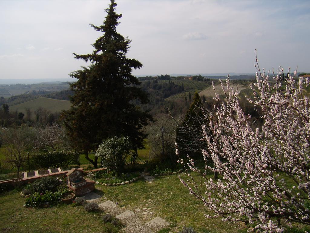 Nido Di Rondine Daire Montespertoli Dış mekan fotoğraf