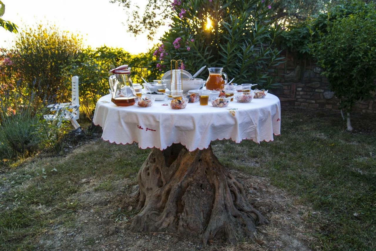 Nido Di Rondine Daire Montespertoli Oda fotoğraf