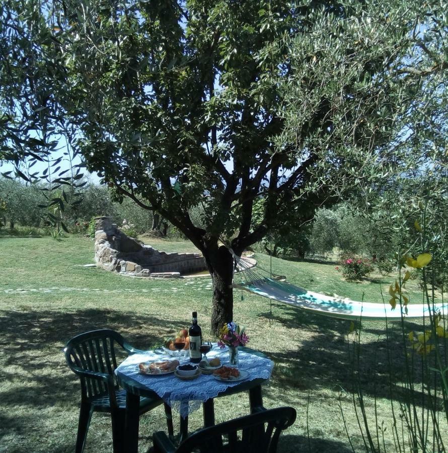 Nido Di Rondine Daire Montespertoli Dış mekan fotoğraf